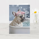 Suche nach französische bulldogge karten Bulldogin