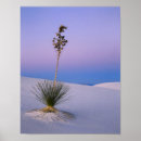 Suche nach new mexico poster Wüste