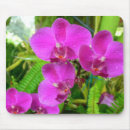 Suche nach orchidee lila mousepads Orchideen