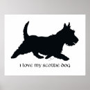 Suche nach scottish terrier poster Hunde