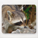 Suche nach waschbär mousepads Süß