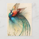 Suche nach schwanz federn postkarten Blume