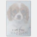 Suche nach könig post it Welpe