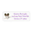 Suche nach papillon Papillon welpen