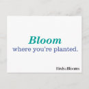 Suche nach gepflanzt postkarten Blume
