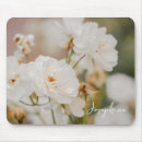 Suche nach romantische rosen mousepads Fotografie