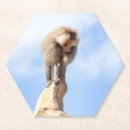 Suche nach lustige affen untersetzer Tierwelt