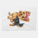 Suche nach yorkshire terrier geschirr tücher Wolf