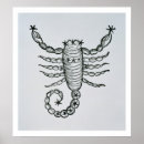 Suche nach tierkreis poster Skorpion