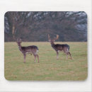 Suche nach kitz mousepads Rotwild