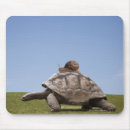 Suche nach schnecke mousepads Tier