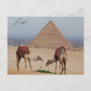 Suche nach ägyptisch postkarten Giza