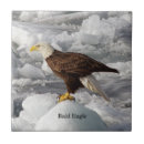 Suche nach eagle fliesen Kahladler