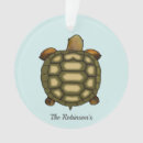 Suche nach tortoise ornamente Tiere