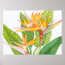 Suche nach exotisch poster Floral