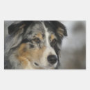 Suche nach meister aufkleber Hund