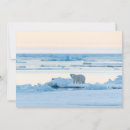 Suche nach arktis karten Eisbär