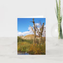 Suche nach oase karten Natur