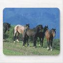 Suche nach wilder mustang mousepads Berge