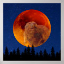 Suche nach biber poster Winter