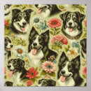 Suche nach border collie poster Haustiere