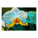 Suche nach elegante orchidee poster Für alle