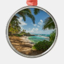 Suche nach hawaii strand ornamente Tropisch