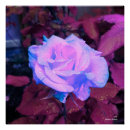 Suche nach neon lila poster Blume