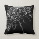 Suche nach chrysantheme kissen Blume