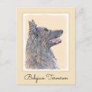 Suche nach belgische postkarten Chien de berger belge