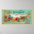 Suche nach flöhe poster Obst