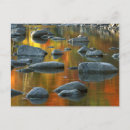 Suche nach format karten Inspiration