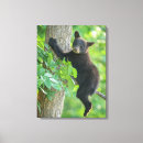 Suche nach zoo leinwandbilder Wild lebende tiere