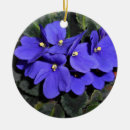 Suche nach veilchen ornamente Natur