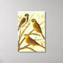 Suche nach gelber hintergrund leinwandbilder Vogel