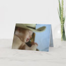 Suche nach erschöpft karten Niedlich