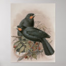 Suche nach johan poster 19