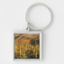 Suche nach tucson schlüsselanhänger Südwest