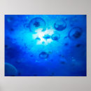 Suche nach jellyfish poster Blau