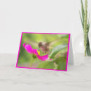 Suche nach lebensraum karten Wild lebende tiere