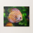 Suche nach aquarium puzzle Jede person