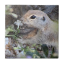 Suche nach runde fliesen Tiere