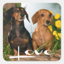 Suche nach hundeaufkleber Welpe