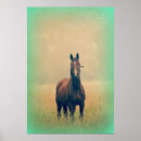 Suche nach stehender poster Hengst
