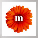 Suche nach gerbera blume poster Blumenreich