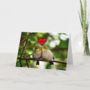Suche nach vogel valentinsgruß Für alle