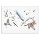 Suche nach zugvogel Für alle