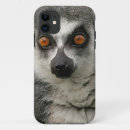 Suche nach lemur iphone hüllen Wildtiere