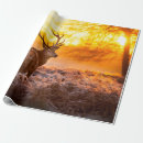 Suche nach wildnis geschenkpapier Wald
