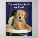 Suche nach furry poster Welpen